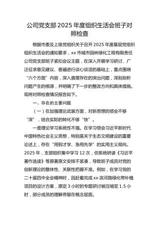 国企党支部2025年度组织生活会班子对照检查5000字