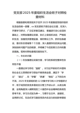 党支部2025年度组织生活会班子对照检查7600字（加强理论武装、执行上级组织决定、严格组织生活、加强党员管理监督、做好群众工作、抓好自身建设、意识形态，含反面典型案例）