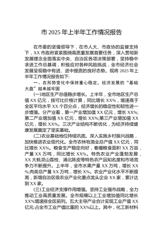 市2025年上半年工作情况报告