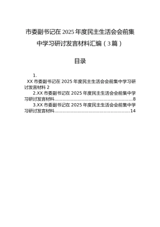 市委副书记在2025年度民主生活会会前集中学习研讨发言材料汇编（3篇）