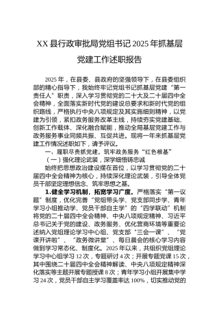 XX县行政审批局党组书记2025年抓基层党建工作述职报告