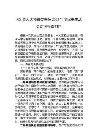 XX县人大预算委主任2025年度民主生活会对照检查材料
