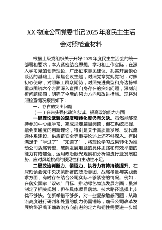 XX物流公司党委书记2025年度民主生活会对照检查材料