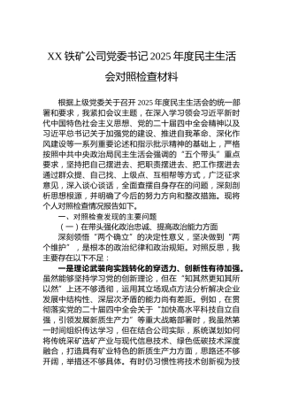 XX铁矿公司党委书记2025年度民主生活会对照检查材料