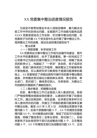 XX党委集中整治进度情况报告