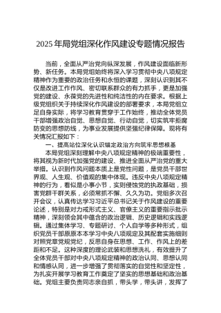 2025年局党组深化作风建设专题情况报告