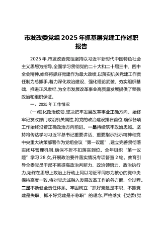 市发改委党组2025年抓基层党建工作述职报告（2）