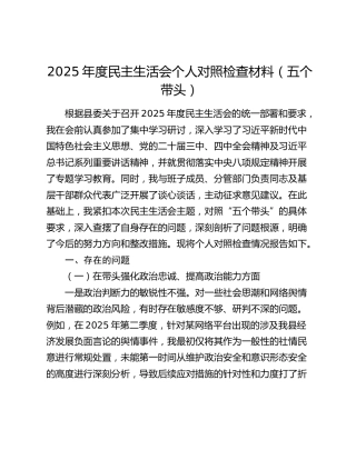2025年度民主生活会个人对照检查材料（五个带头）（3）