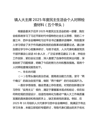 镇人大主席2025年度民主生活会个人对照检查材料（五个带头）
