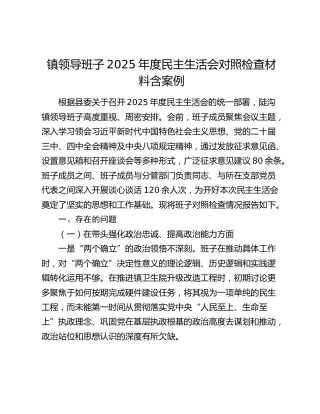 镇领导班子2025年度民主生活会对照检查材料含案例