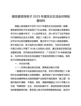 镇党委领导班子2025年度民主生活会对照检查材料