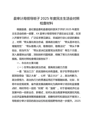 县审计局领导班子2025年度民主生活会对照检查材料