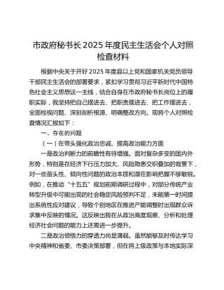 市政府秘书长2025年度民主生活会个人对照检查材料