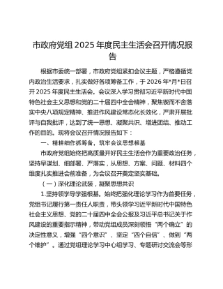 市政府党组2025年度民主生活会召开情况报告