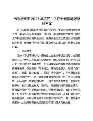 市政府党组2025年度民主生活会查摆问题整改方案