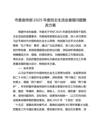 市委宣传部2025年度民主生活会查摆问题整改方案