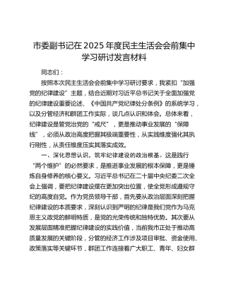市委副书记在2025年度民主生活会会前集中学习研讨发言材料