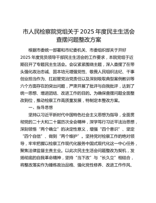 市人民检察院党组关于2025年度民主生活会查摆问题整改方案
