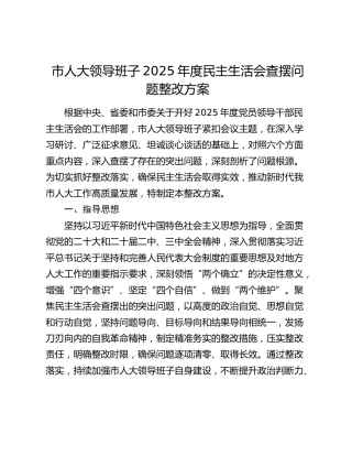 市人大领导班子2025年度民主生活会查摆问题整改方案
