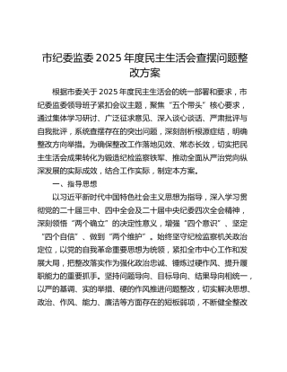 市纪委监委2025年度民主生活会查摆问题整改方案