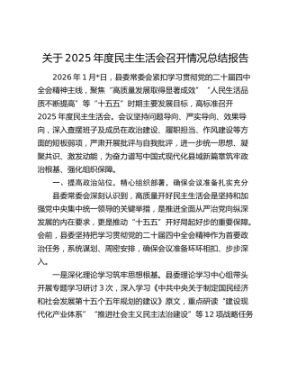 关于2025年度民主生活会召开情况总结报告