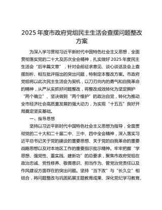 2025年度市政府党组民主生活会查摆问题整改方案