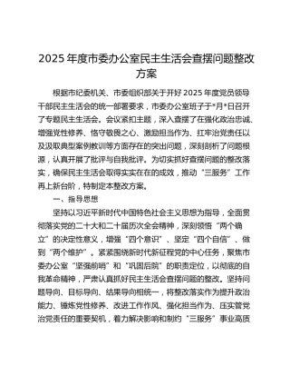 2025年度市委办公室民主生活会查摆问题整改方案