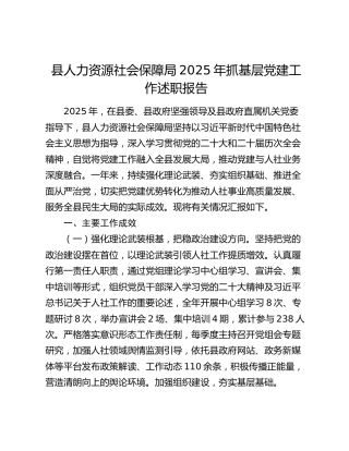 县人力资源社会保障局2025年抓基层党建工作述职报告