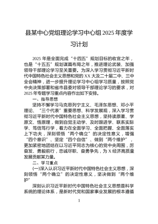 县某中心党组理论学习中心组2025年度学习计划
