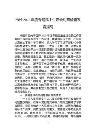 市长2025年度专题民主生活会对照检查发言提纲