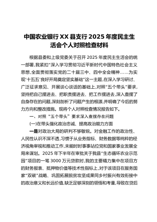 中国农业银行XX县支行2025年度民主生活会个人对照检查材料
