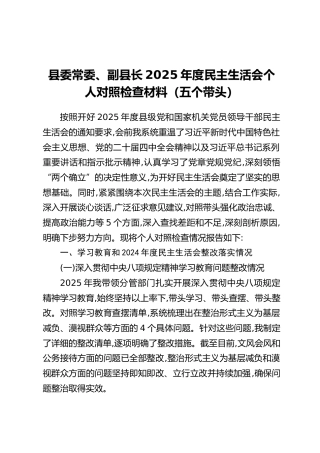 县委常委、副县长2025年度民主生活会个人对照检查材料（五个带头）
