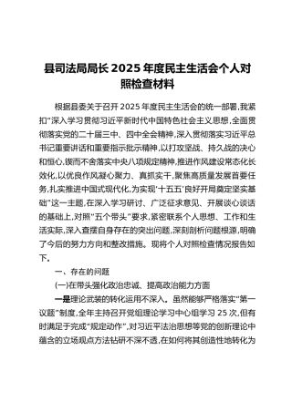 县司法局局长2025年度民主生活会个人对照检查材料