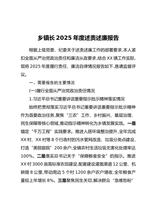 乡镇长2025年度述责述廉报告
