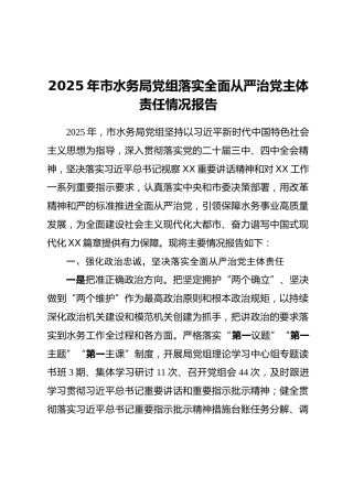 2025年市水务局党组落实全面从严治党主体责任情况报告