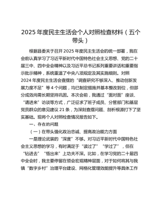 2025年度民主生活会个人对照检查材料（五个带头）（4）