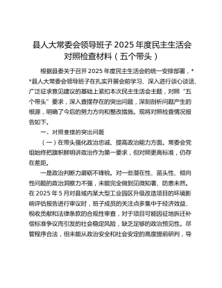 县人大常委会领导班子2025年度民主生活会对照检查材料（五个带头）