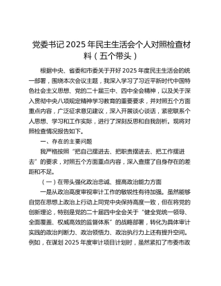 党委书记2025年民主生活会个人对照检查材料（五个带头）