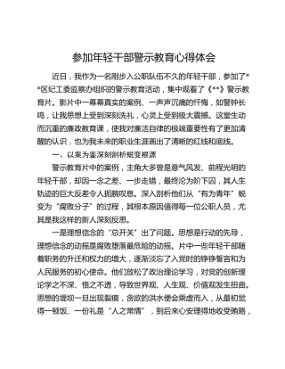 参加年轻干部警示教育心得体会
