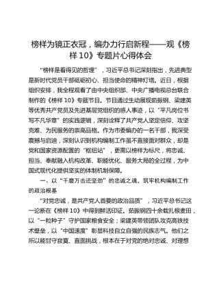 榜样为镜正衣冠，编办力行启新程——观《榜样10》专题片心得体会