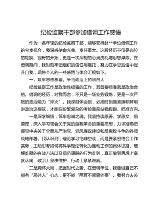 纪检监察干部参加借调工作感悟