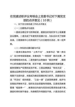 在党建述职评议考核会上党委书记对下属党支部的点评意见（10例）