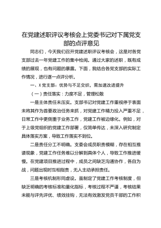党建述职评议考核会上对党支部的点评意见