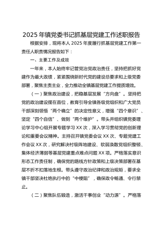 2025年镇党委书记抓基层党建工作述职报告-