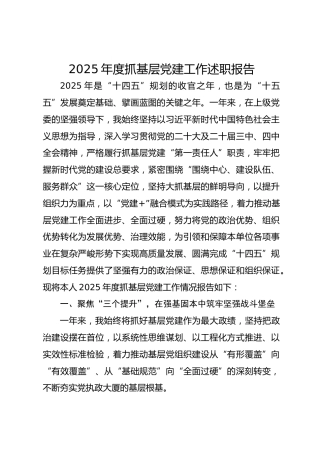2025年度抓基层党建工作述职报告(1)