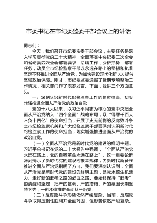 市委书记在市纪委监委干部会议上的讲话