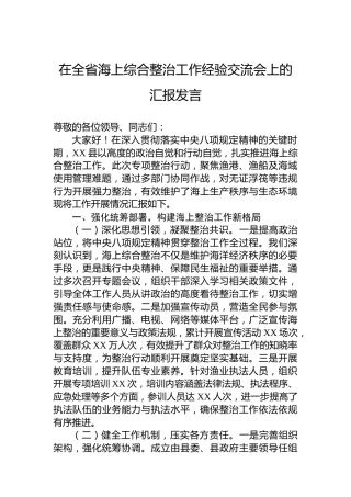 在全省海上综合整治工作经验交流会上的汇报发言