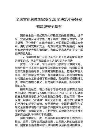 全面贯彻总体国家安全观坚决筑牢美好安徽建设安全基石
