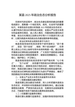 某县2025年政治生态分析报告