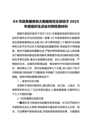 XX市政务服务和大数据局党支部班子2025年度组织生活会对照检查材料（七个方面）
